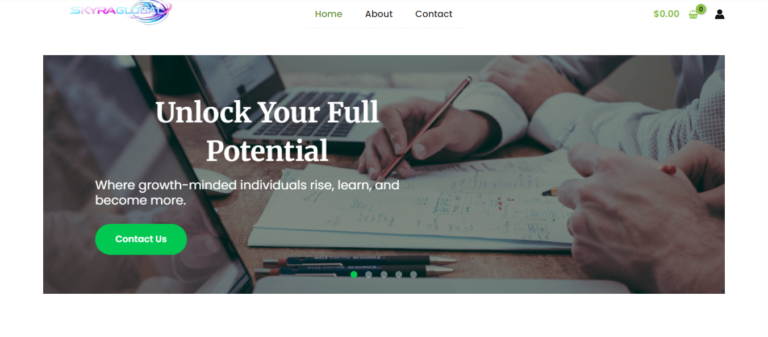 website 2